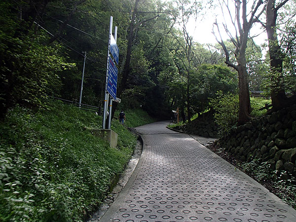 酷道（国道）３０８号線